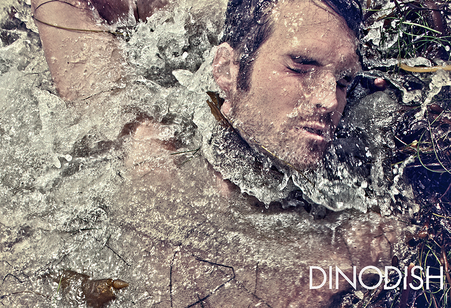 Dino Dish
